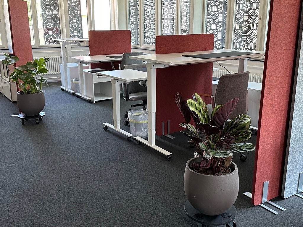 Ihr Gewerbeobjekt über 137m2 im Zentrum von Affoltern am Albis - 2