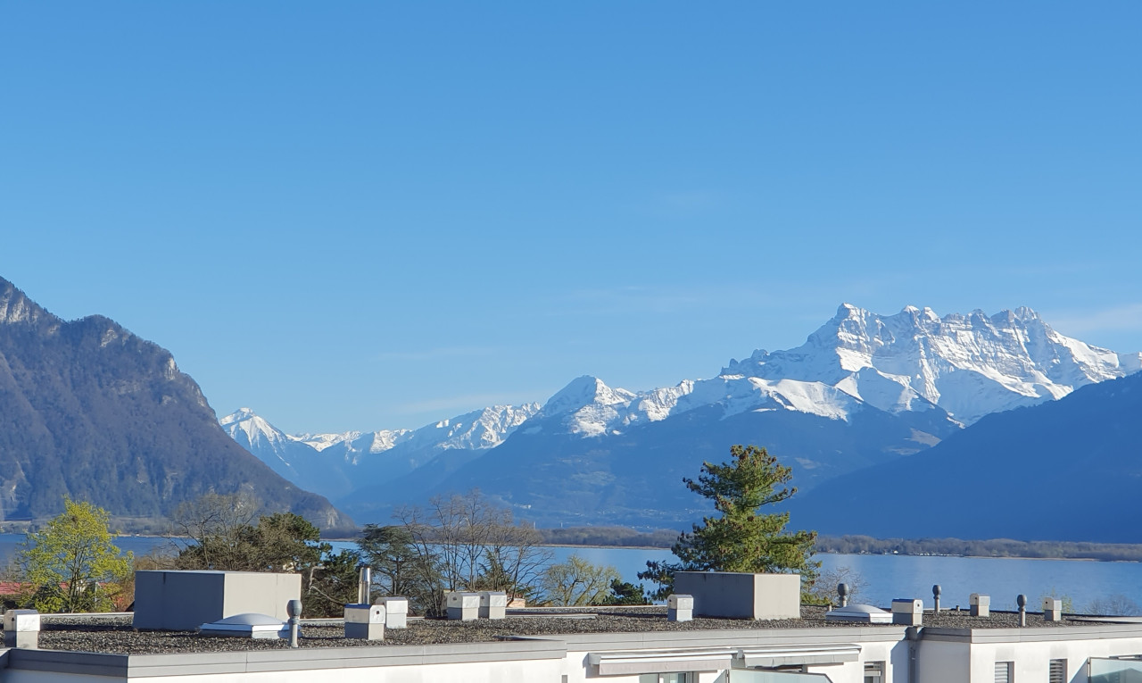 Exklusiv: Schöne 2-Zimmer-Wohnung mit Blick auf den Genfersee - 0