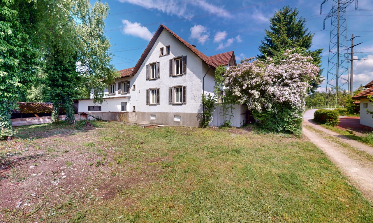 Zweifamilienhaus im Grünen mit 400 m² gewerblich nutzbarem Schuppen - 1
