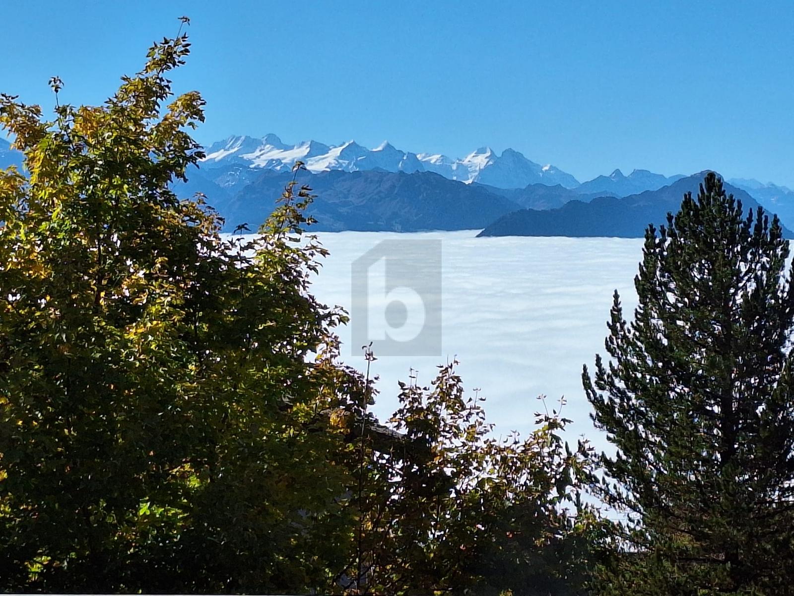 HERVORRAGENDE AUSSICHT AUF DEN RIGI - 4
