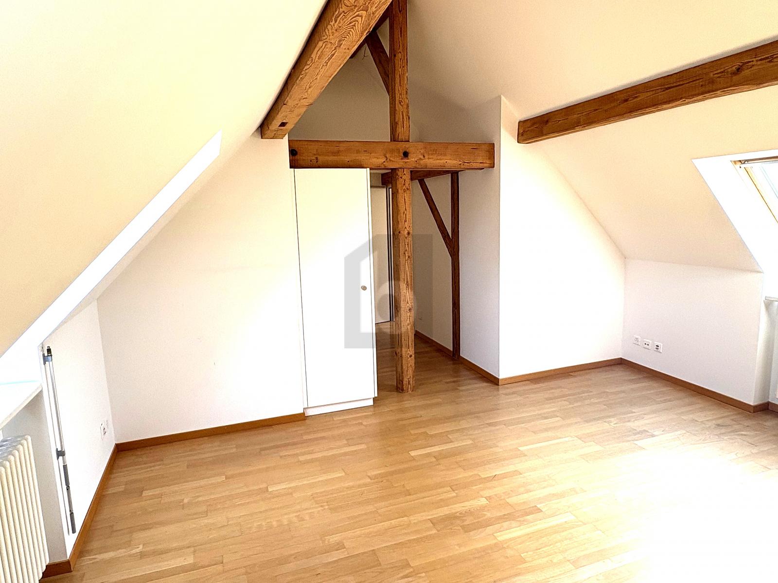 HELLE WOHLFÜHLOASE ÜBER DEN DÄCHER VON ZÜRICH - 3