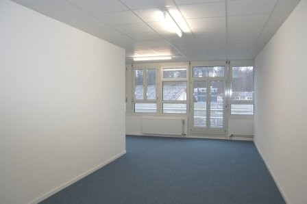 Büro-/Gewerberaum inmitten des Dreispitz-Areals - 2