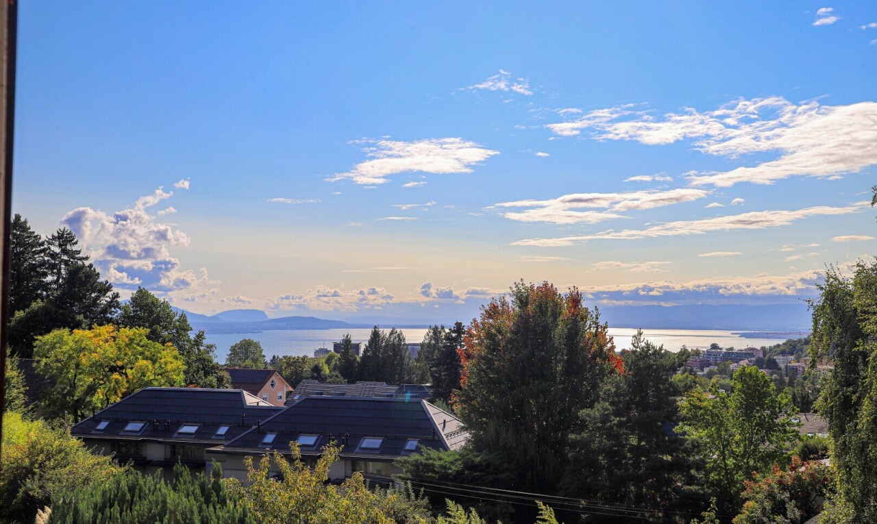 Duplex in à Lausanne - 9