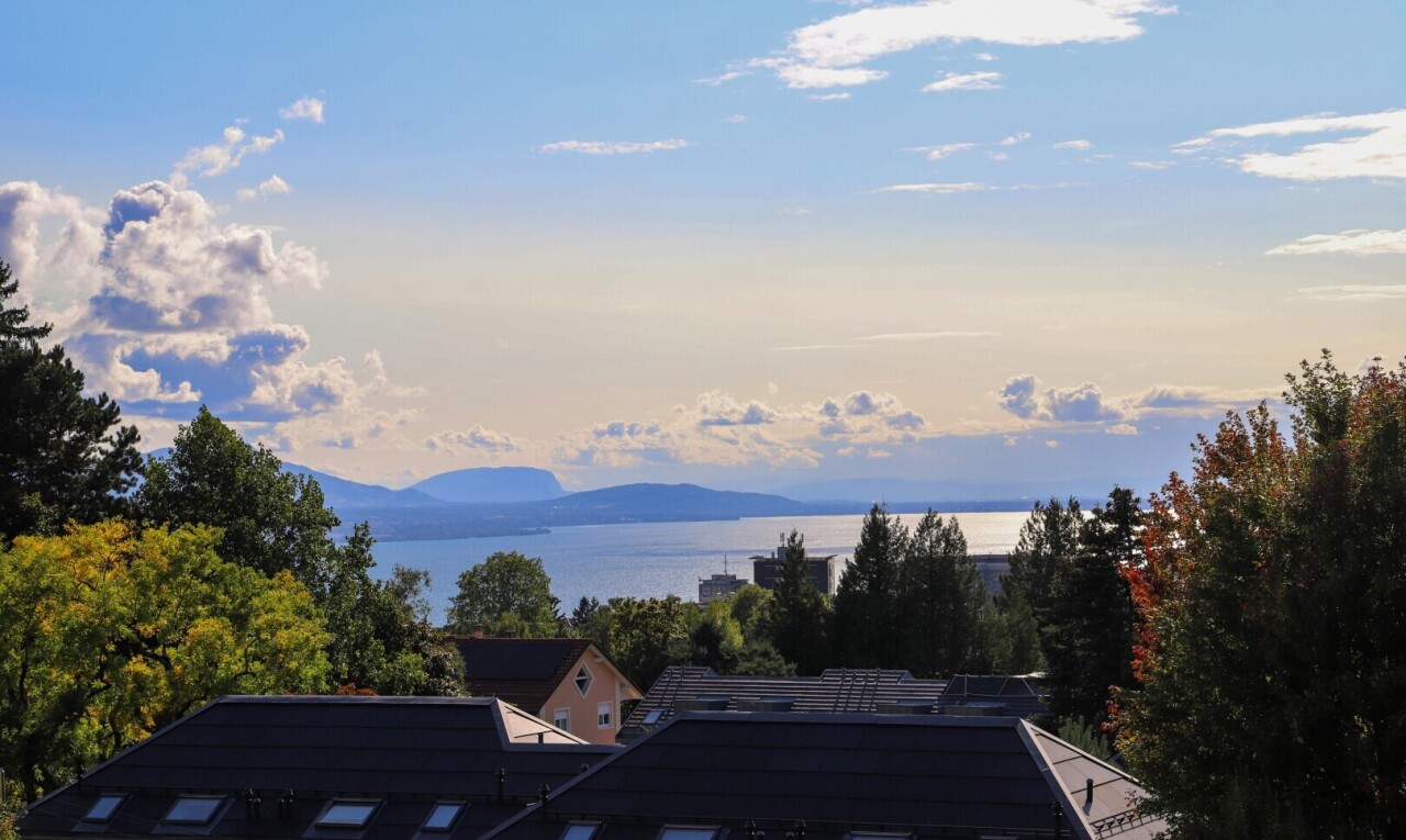 Appartement avec jardin in à Lausanne - 8