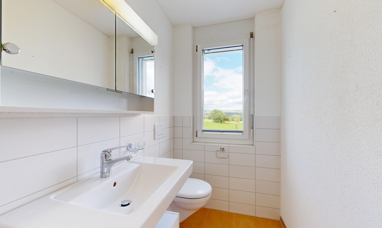 Einfamilienhaus mit Dachwohnung, ideal als 3-Generationenhaus - 10