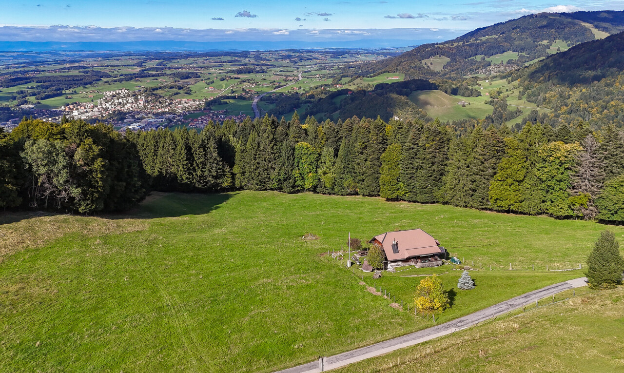 Chalet in à St-Légier-La Chiésaz - 1