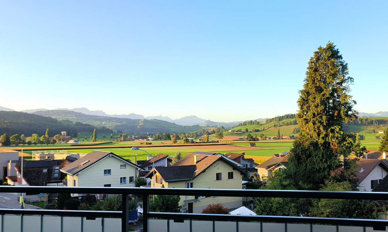 Dachwohnung mit fantastischer Bergsicht - 1