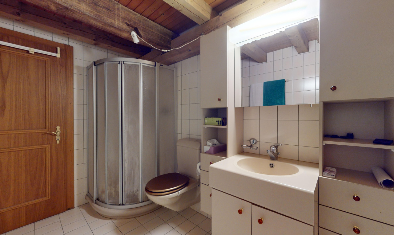 Appartement in à Ursins - 3