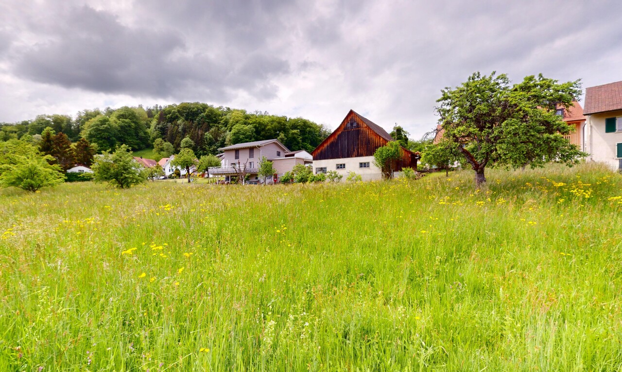 Ruhig gelegenes Baugrundstück mit Weitsicht in Arboldswil - 1