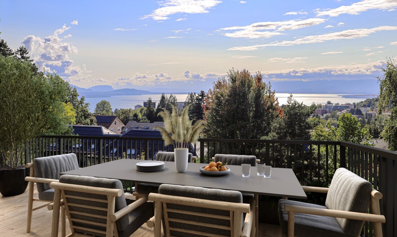 Duplex in à Lausanne - 1