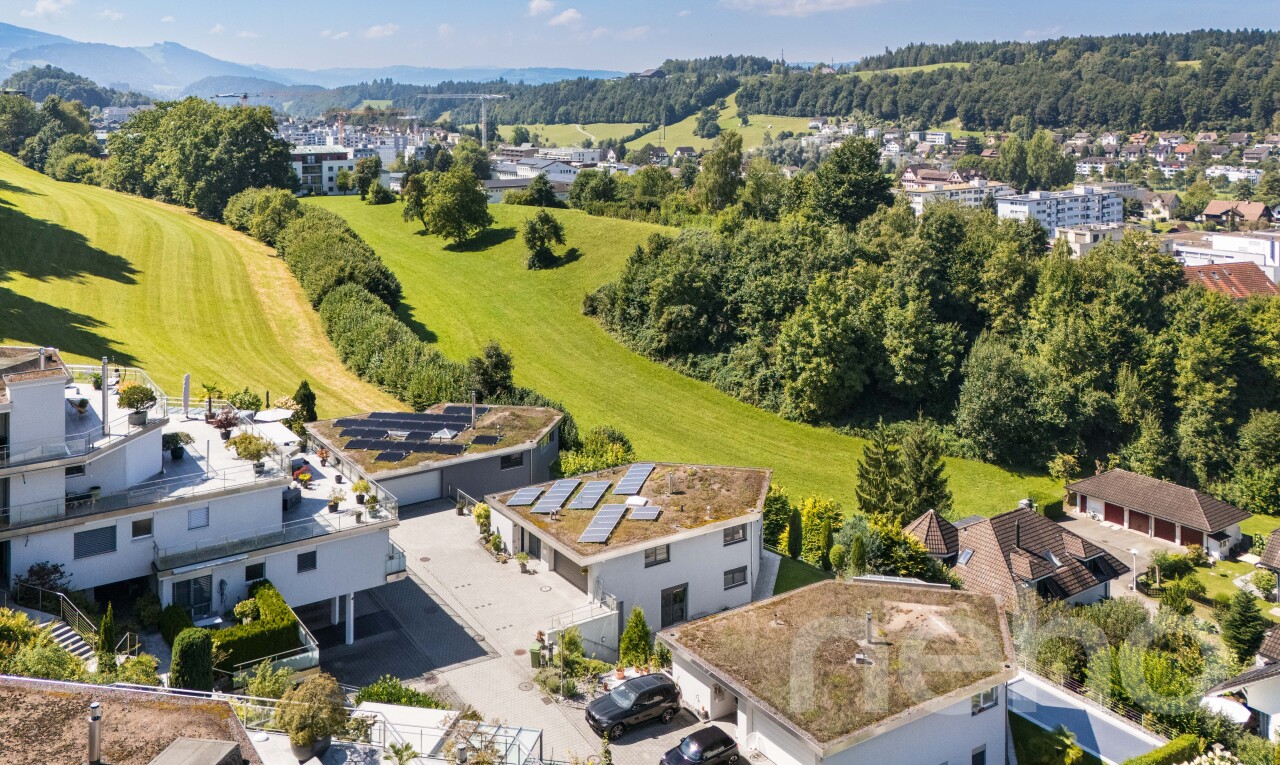 Einfamilienhaus in Ebikon - 1