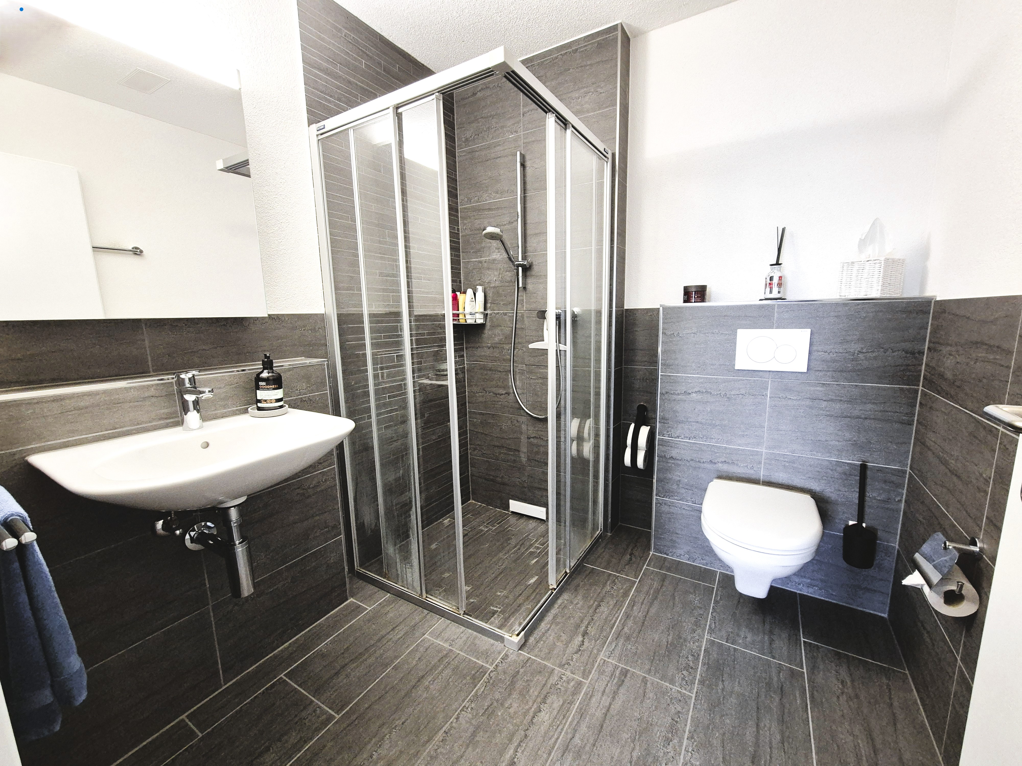 Attractive 4 1/2 room apartment in Lufingen - Minergie-certified - 5