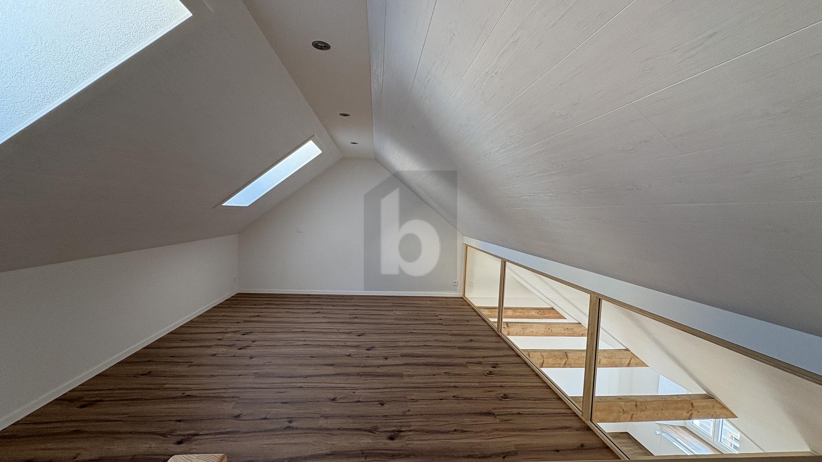 MAGNIFIQUE DUPLEX ENTIÉREMENT NEUF - 2