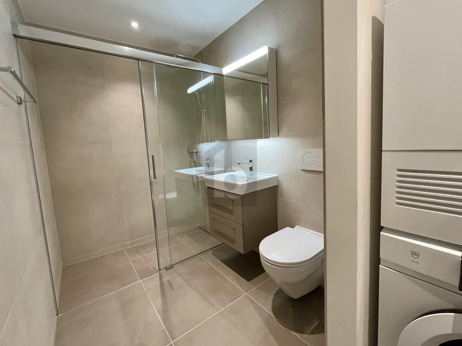 ERSTBEZUG: GROSSER BALKON, SICHT AUF DEN ÜETLIBERG - 4