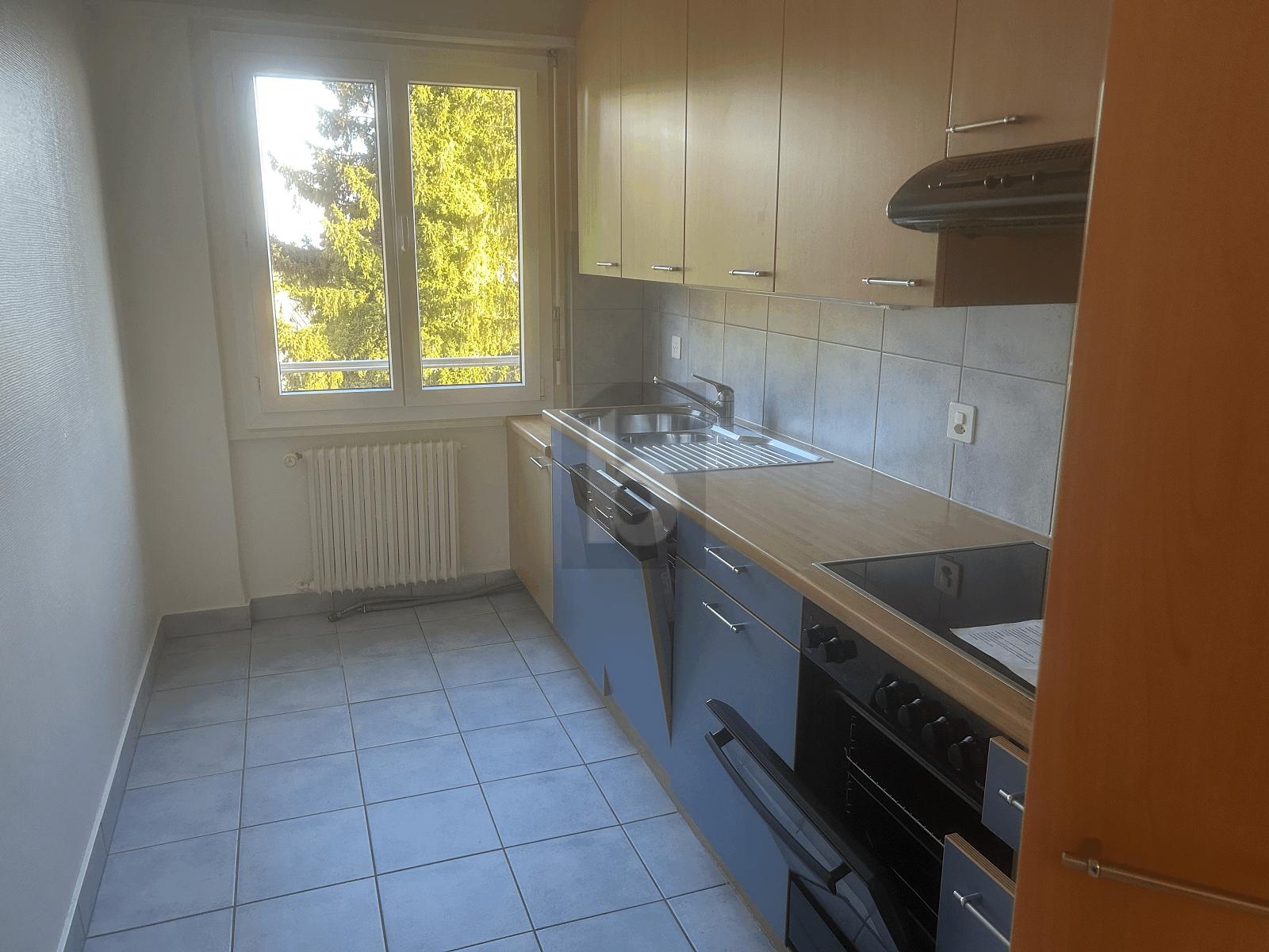 MAGNIFIQUE VUE SUR LE LAC - 2