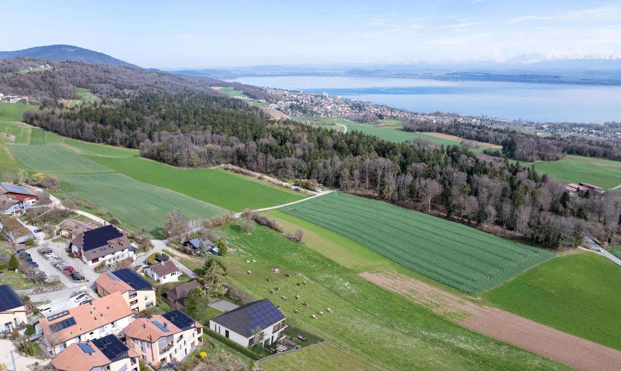 Exclusive creation of 3 apartments with terrace and private garden - 0