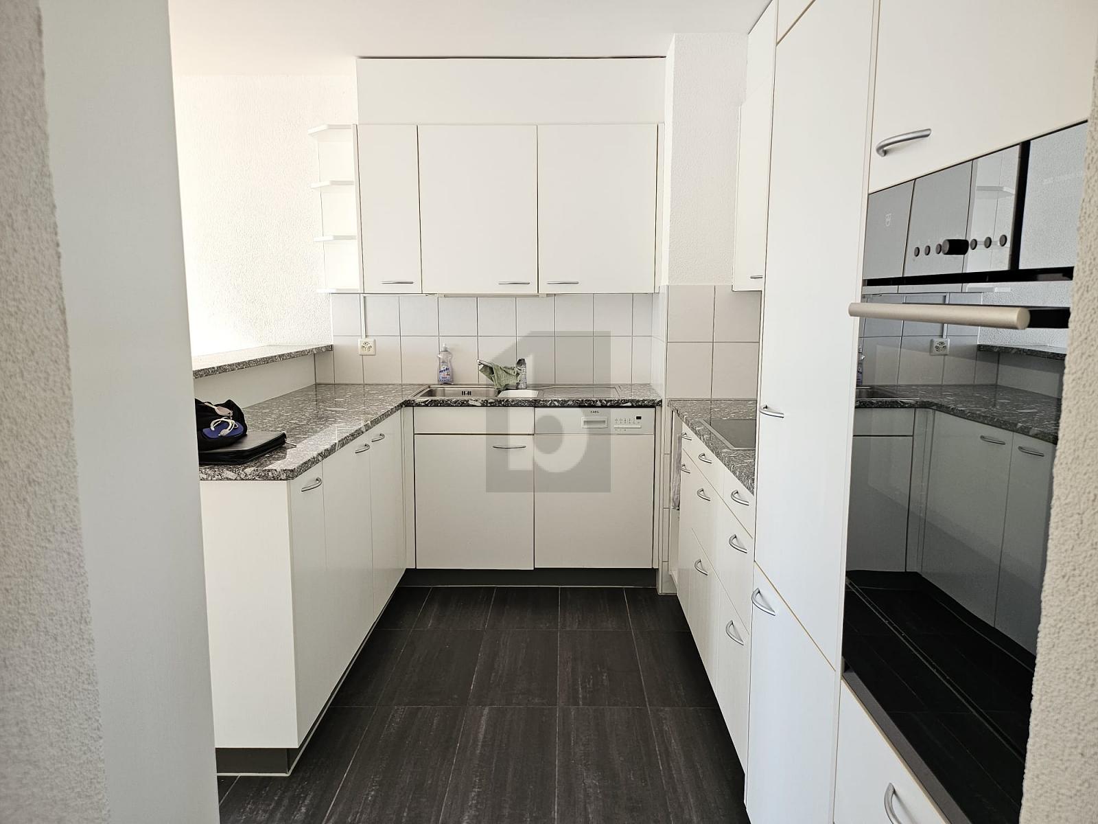 TRAUMHAFTE SICHT ÜBER DAS LIMMATTAL - 2