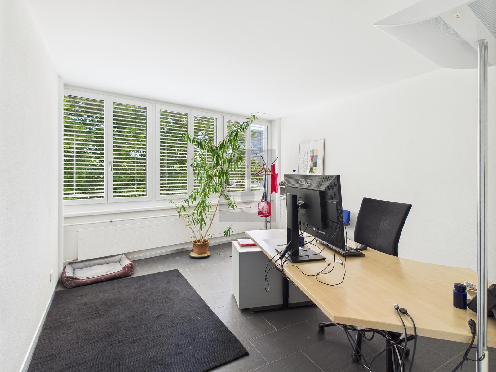 IM HERZEN VON WALLISELLEN - 0