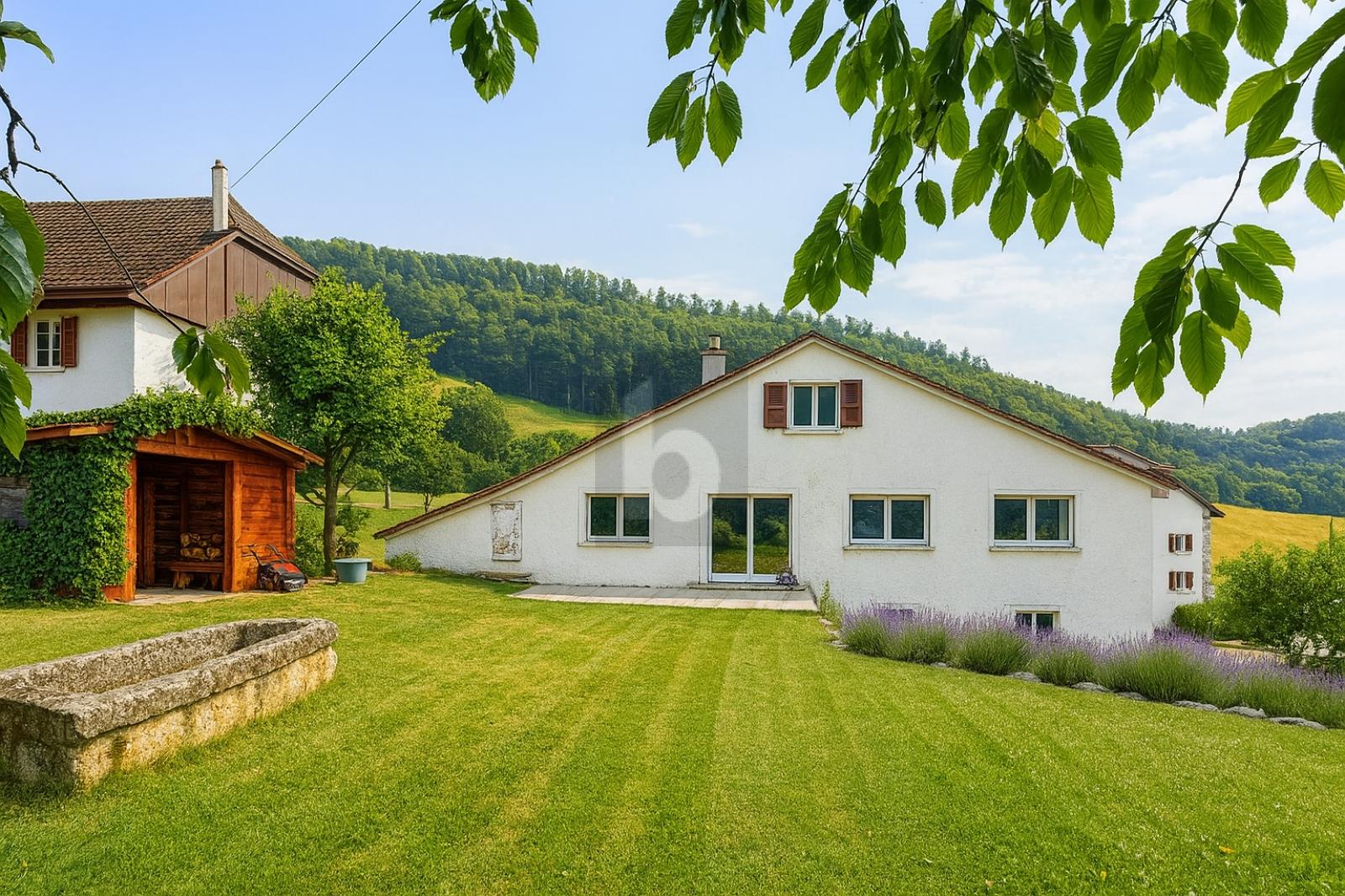 READY SPACIEUSE LUMINEUSE MODERNE - 0