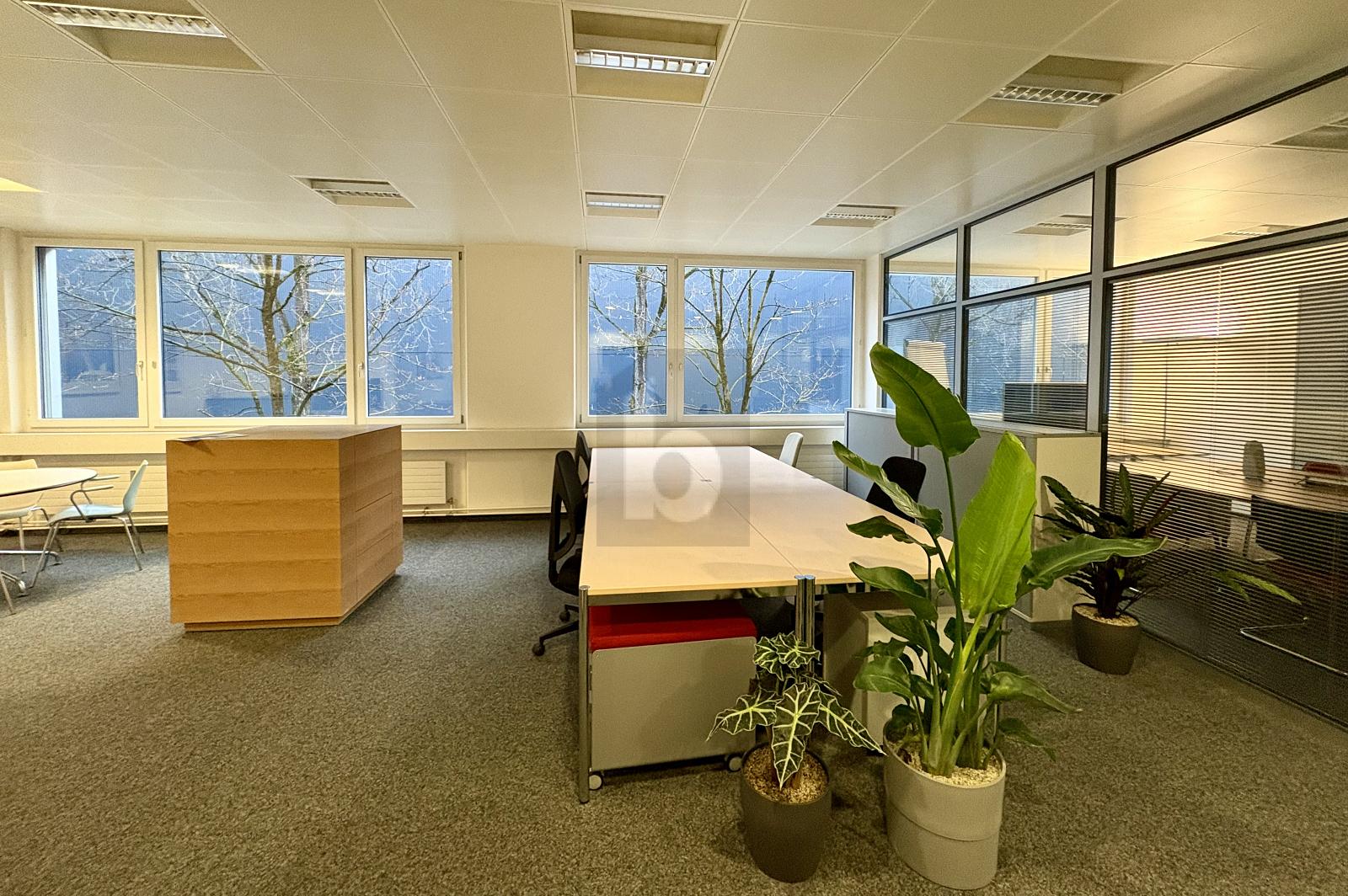 REPRÄSENTATIV UND VIELSEITIG NUTZBAR - 0