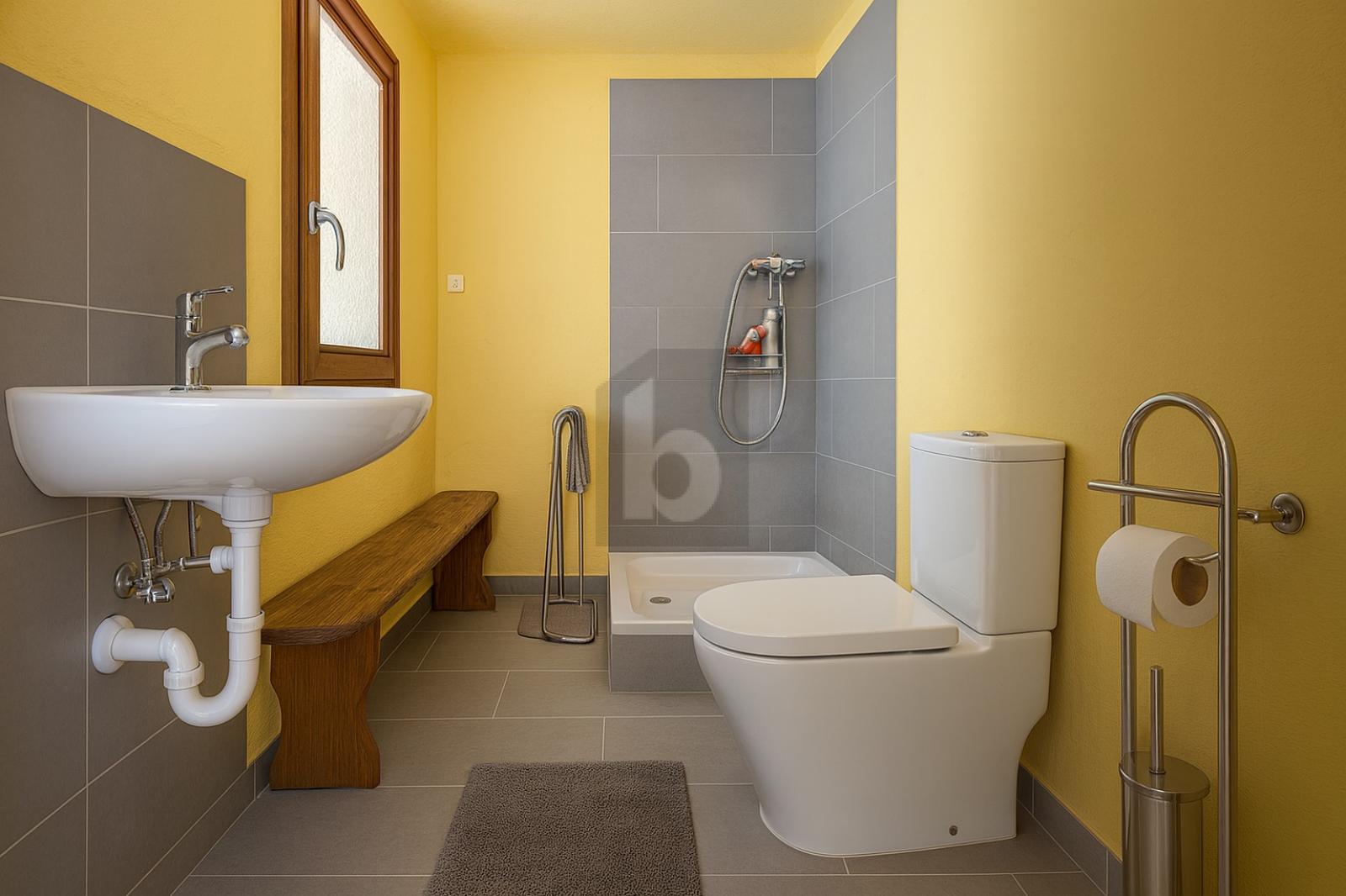 MAGNIFIQUE MAYEN AU DESSUS DE SAXON - 4