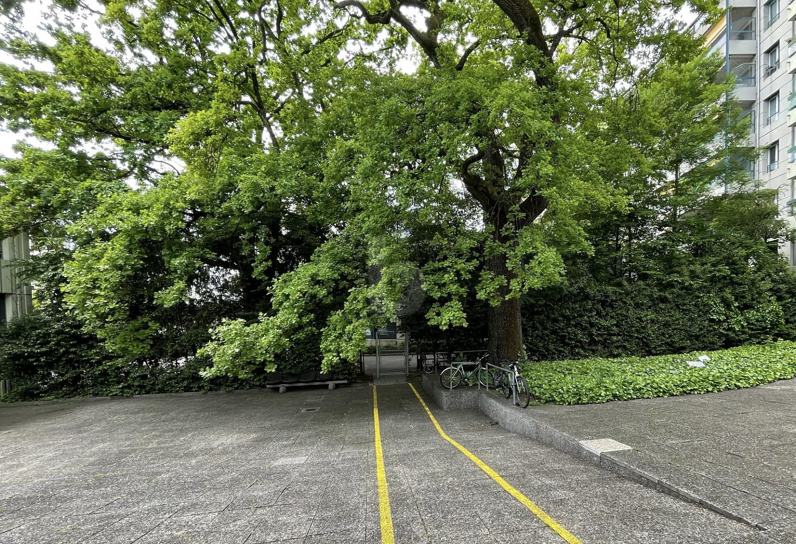 ESPACE D'ÉVÉNEMENTS - 2