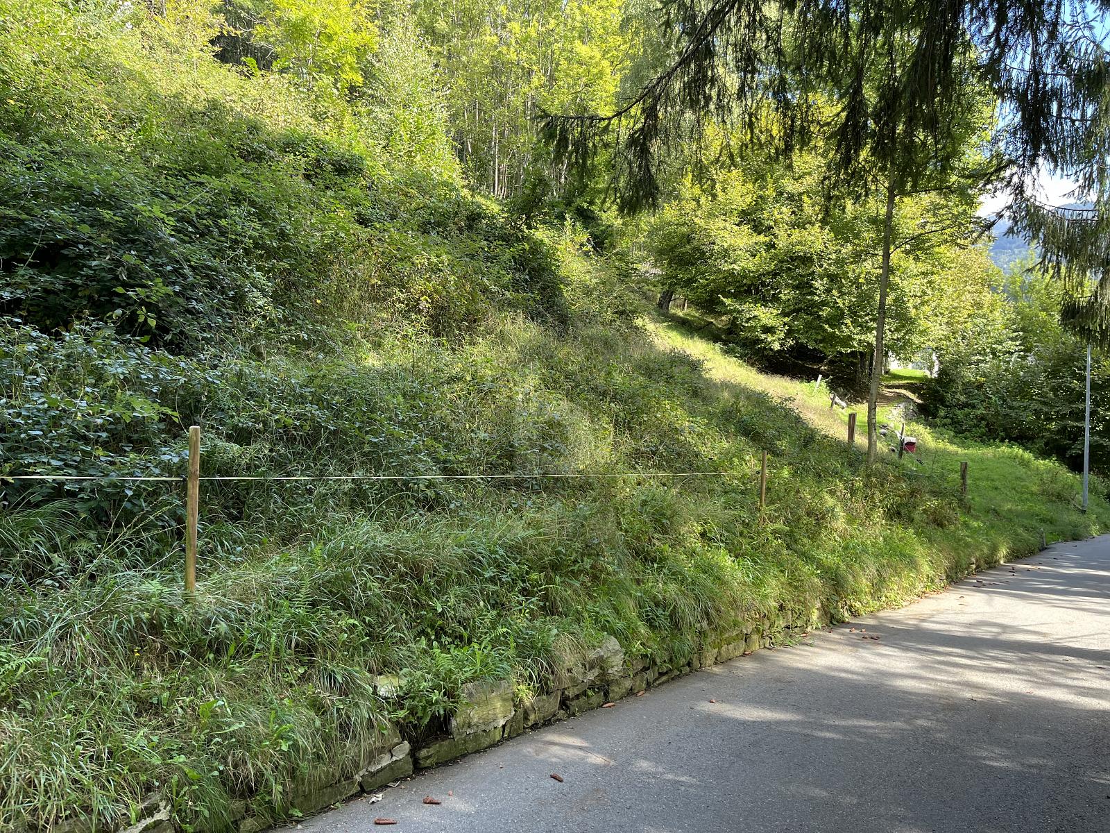 SPLENDIDA PROPRIETÀ NELLA SOLEGGIATA VALLE - 3