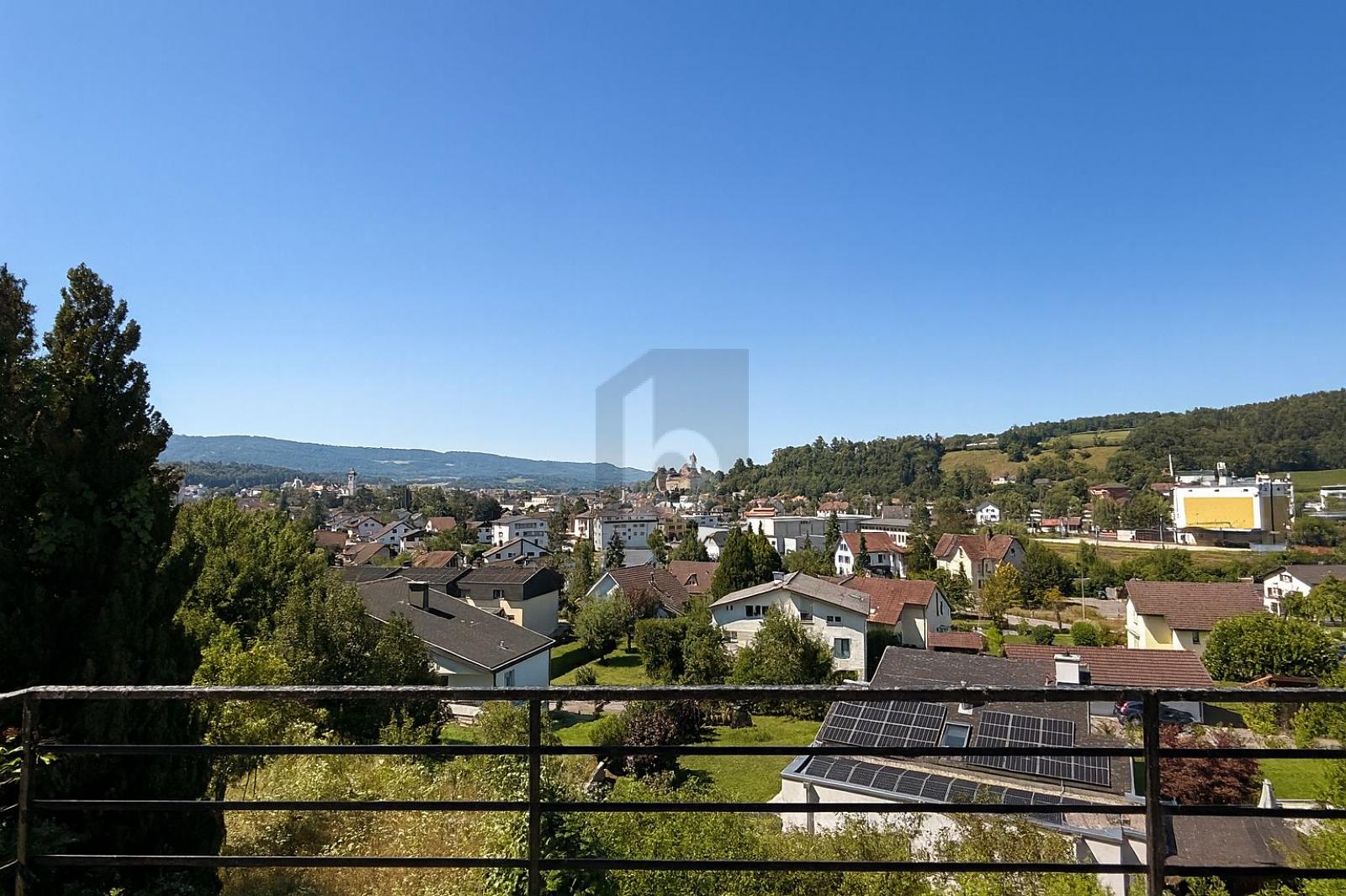 MAGNIFIQUE POTENTIEL - 4