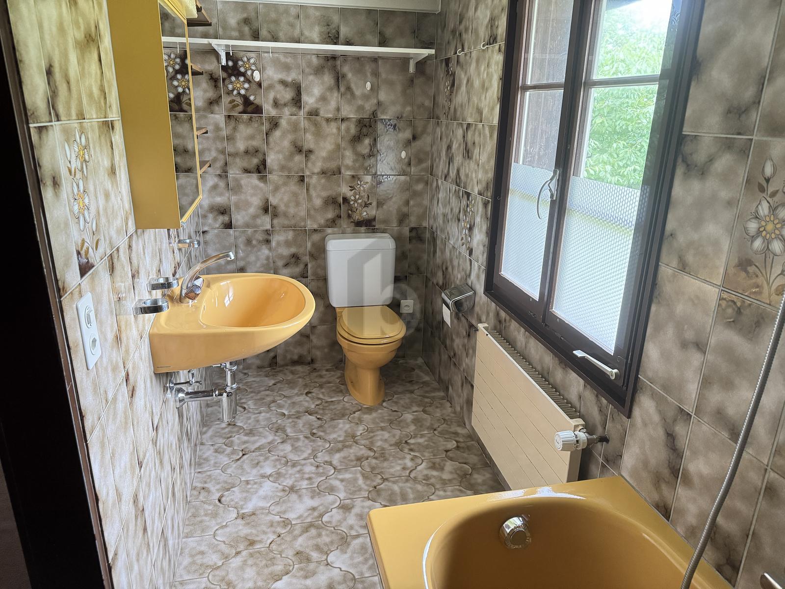 VIEL PLATZ IN LÄNDLICHER UMGEBUNG - 3