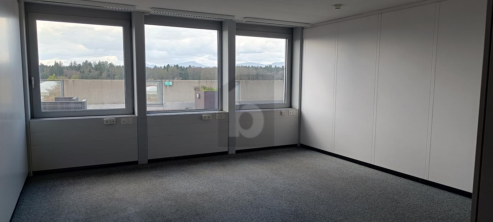 HELL UND FREUNDLICH (BÜRO 4.06) - 0