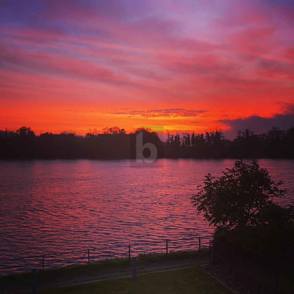 HELL UND MODERN, DIREKT AM RHEIN - 4