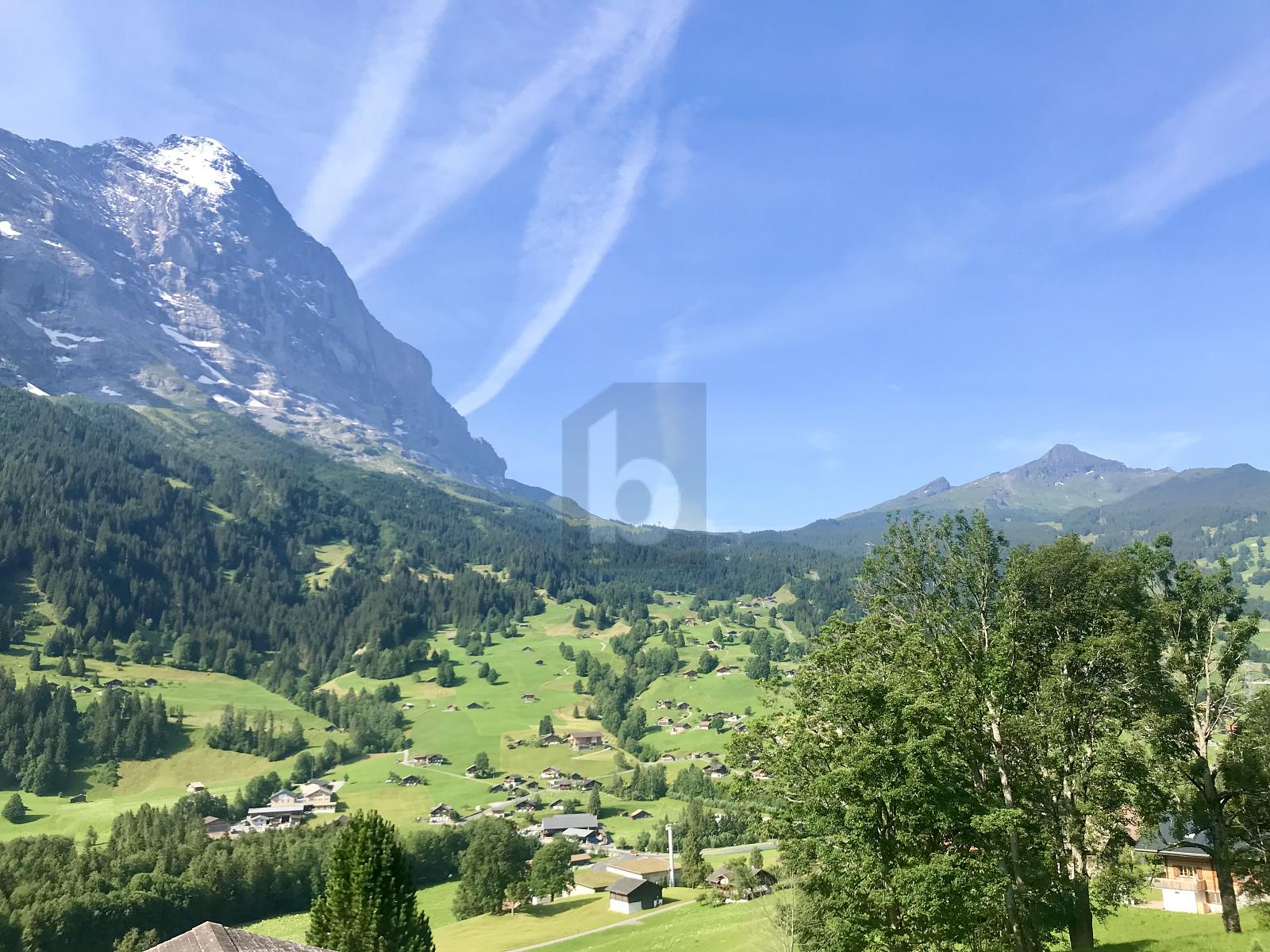 ZENTRAL UND UNVERBAUBARE AUSSICHT AUF DEN EIGER - 0