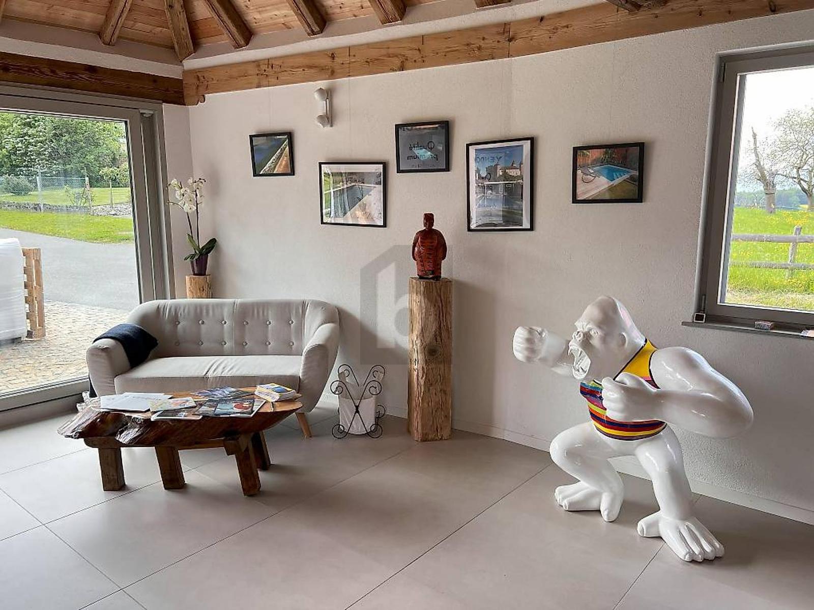 BUREAUX SPACIEUX ET MODERNES - 3