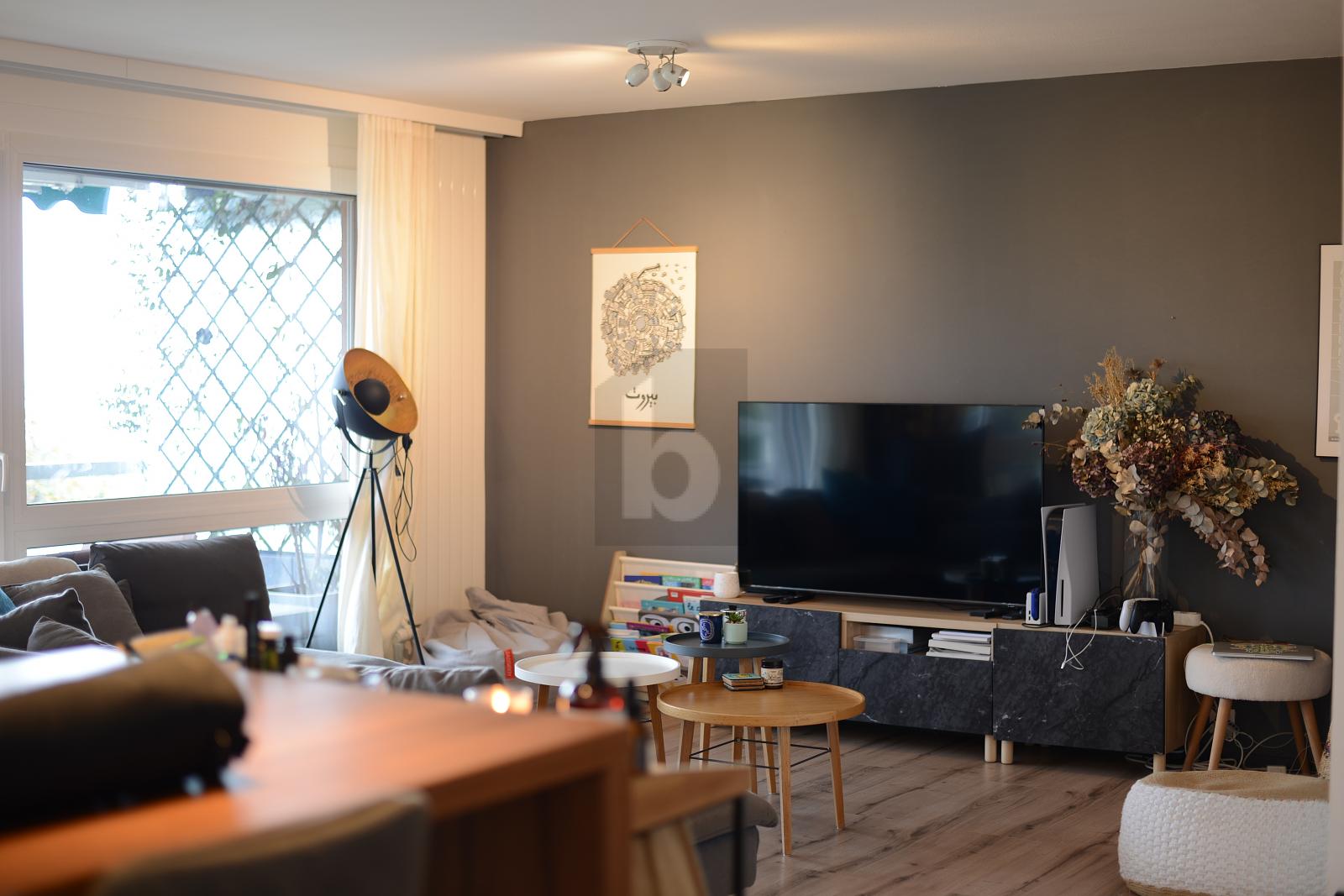 CONFORT ET MODERNITÉ EN TOUTE TRANQUILLITÉ - 0