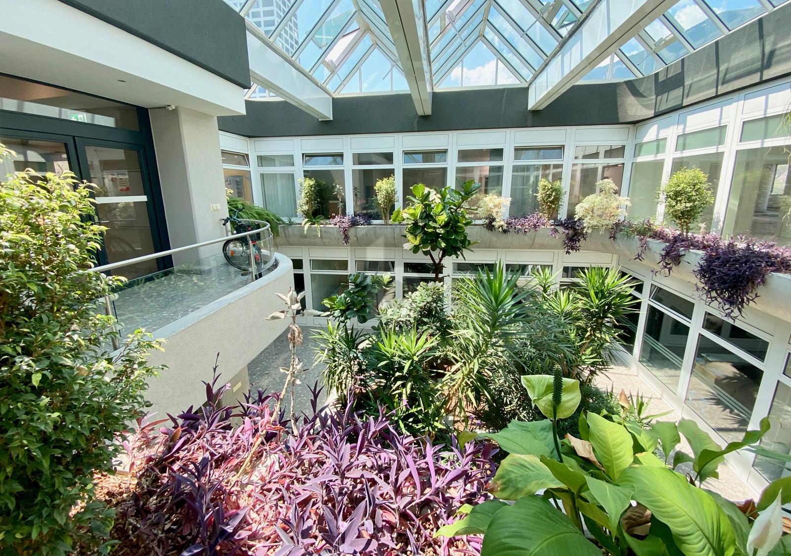 VIELSEITIG NUTZBARE FLÄCHE - 0