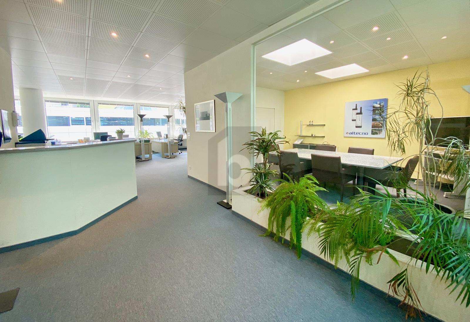 VIELSEITIG NUTZBARE FLÄCHE - 1