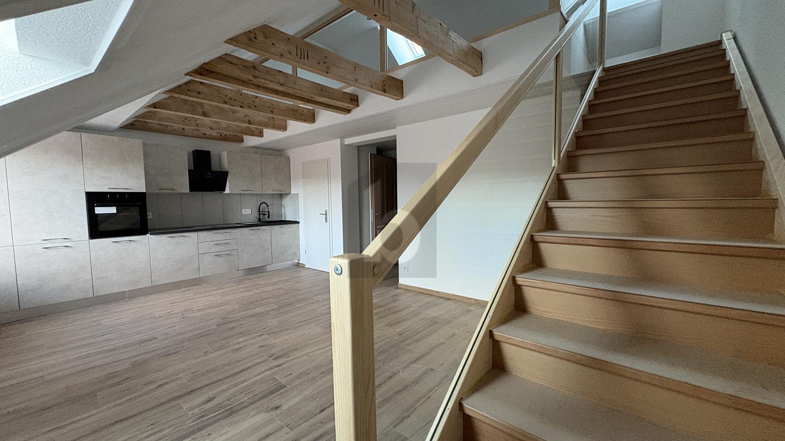 BAIGNÉ DE LUMIÈRE, SPACIEUX ET NEUF - 1