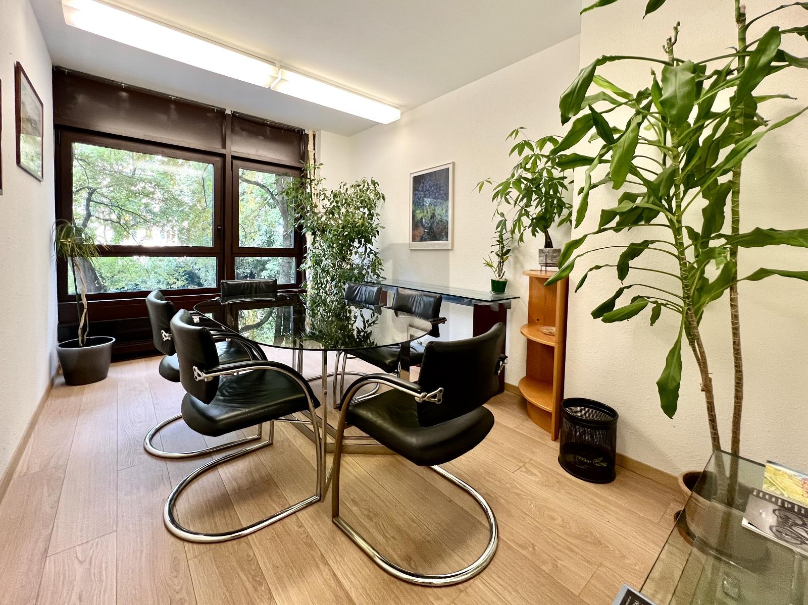 BUREAU ENSOLEILLÉ PRIVÉ AU CALME FACE AUX ARBRES - 3