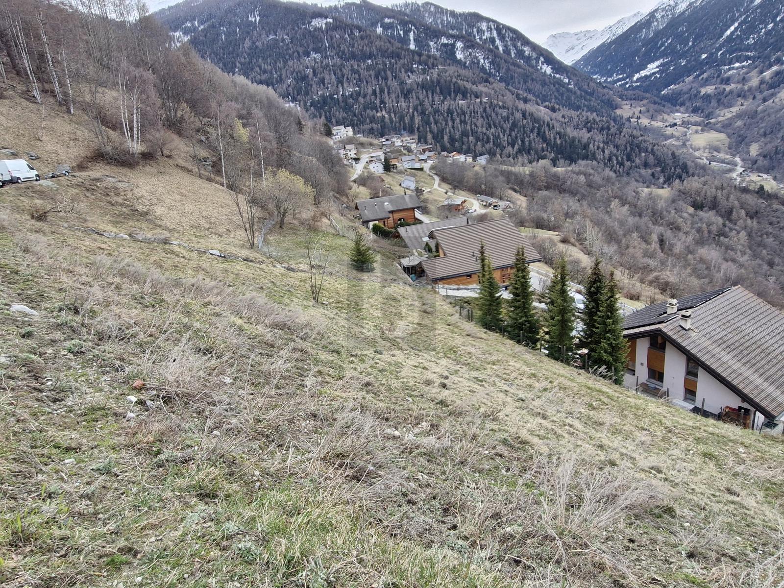 BELLE PARCELLE À BÂTIR - 2