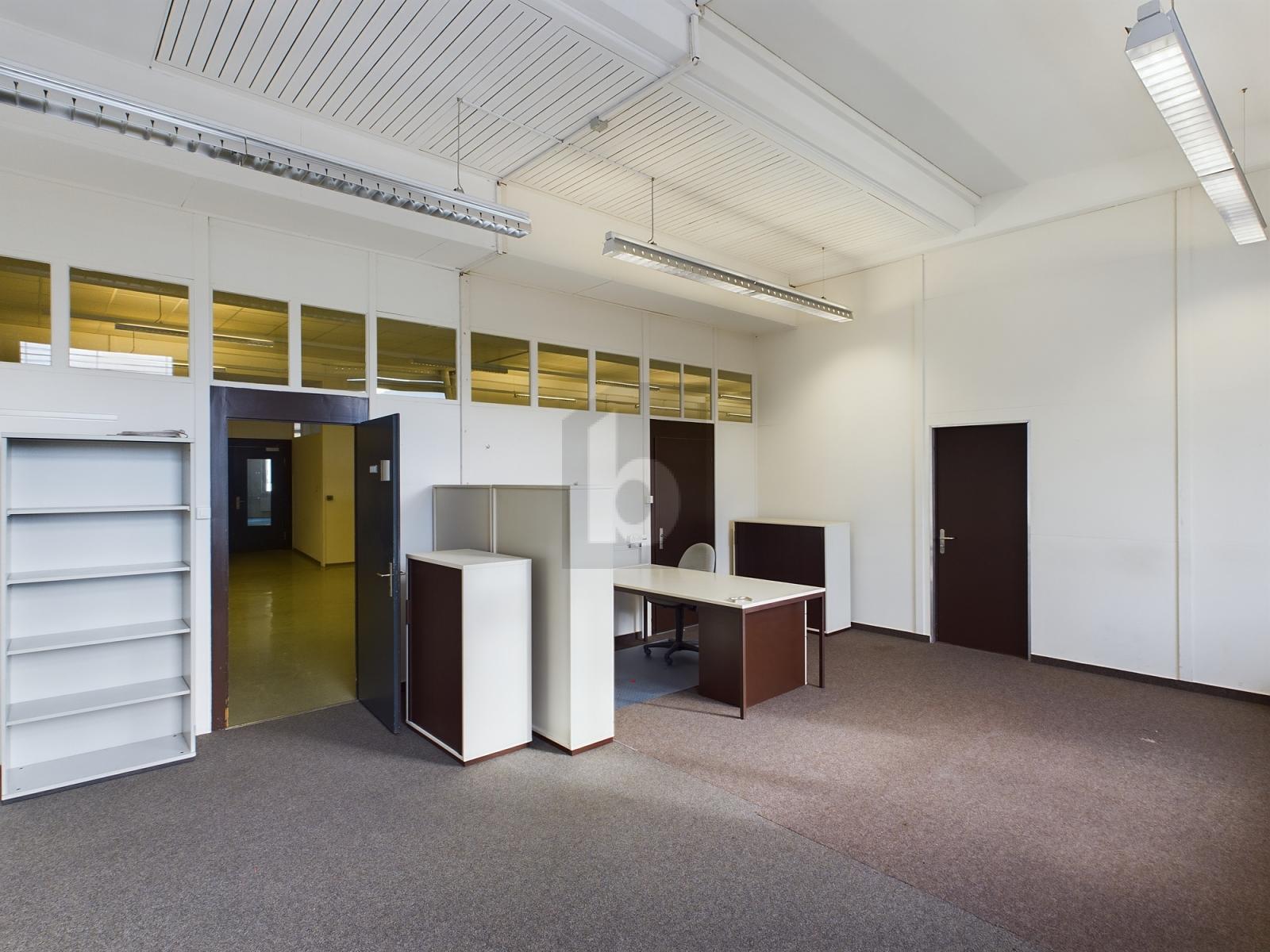 HELLE RÄUME ZU GÜNSTIGEM MIETZINS - 1