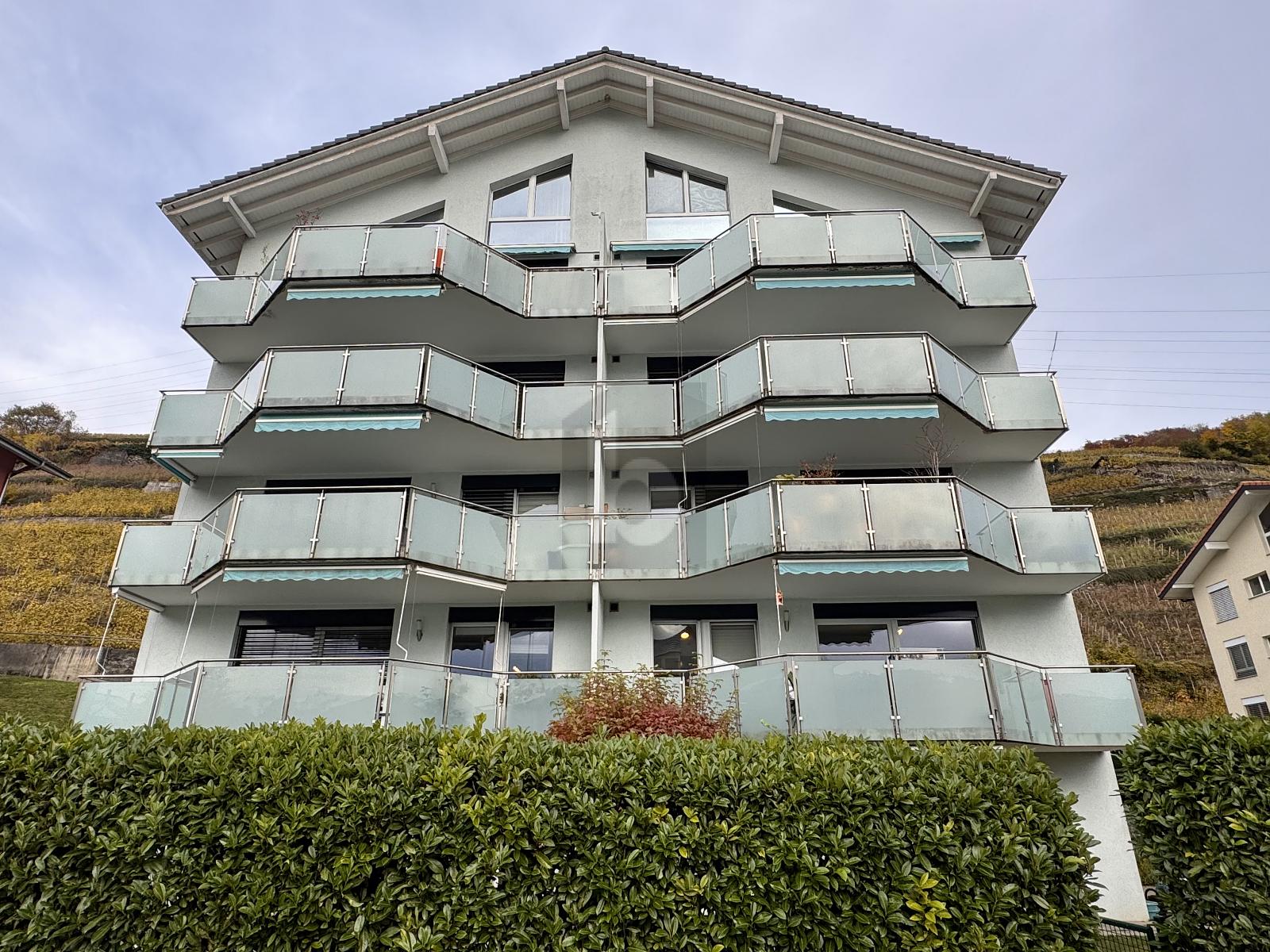 IDÉALE FAMILLE AVEC SPACIEUSE TERRASSE ET BALCON - 2