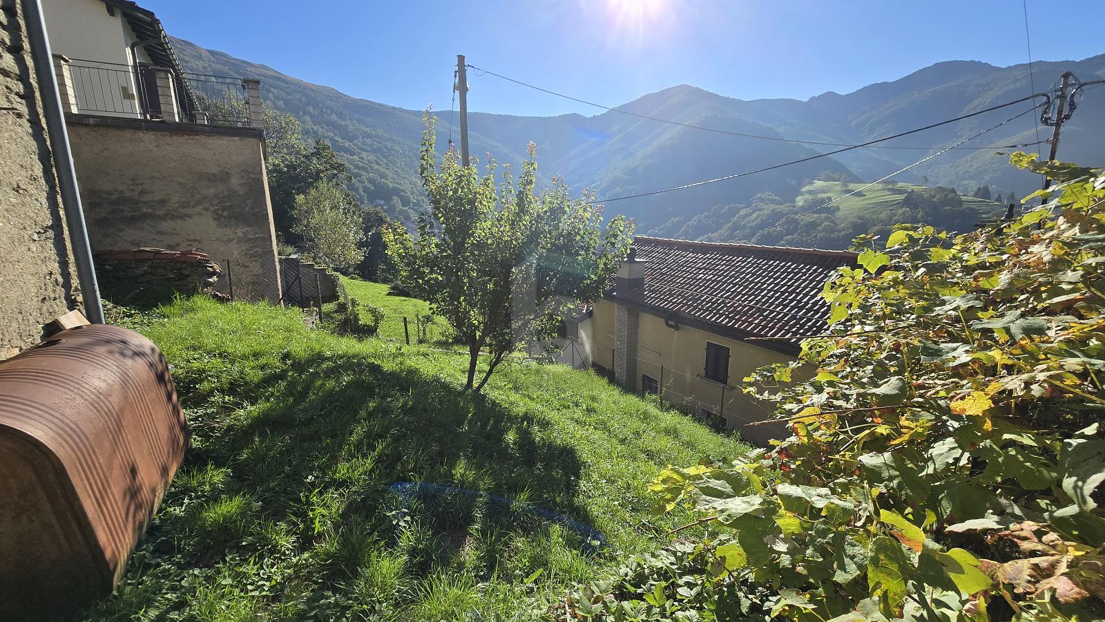 SOLEGGIATA CON GIARDINO - 1