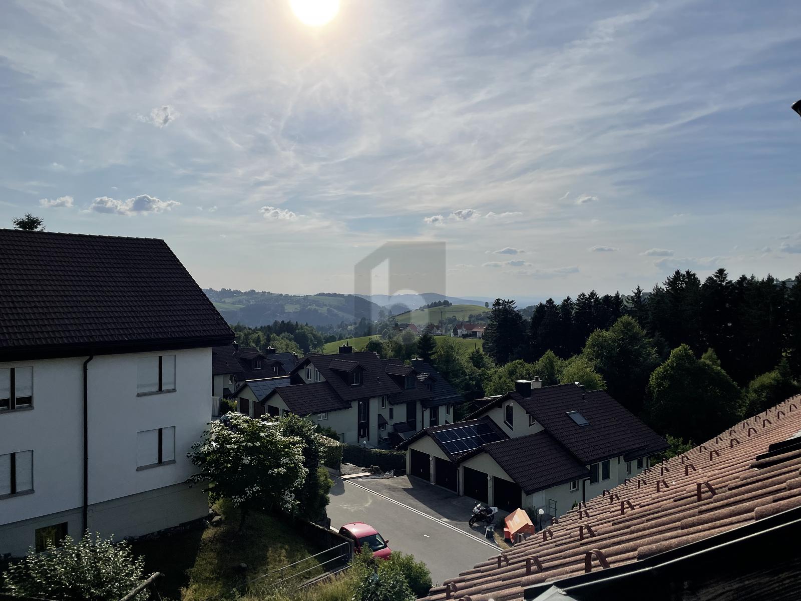 ATEMBERAUBENDER BLICK AUFS APPENZELLERLAND - 0