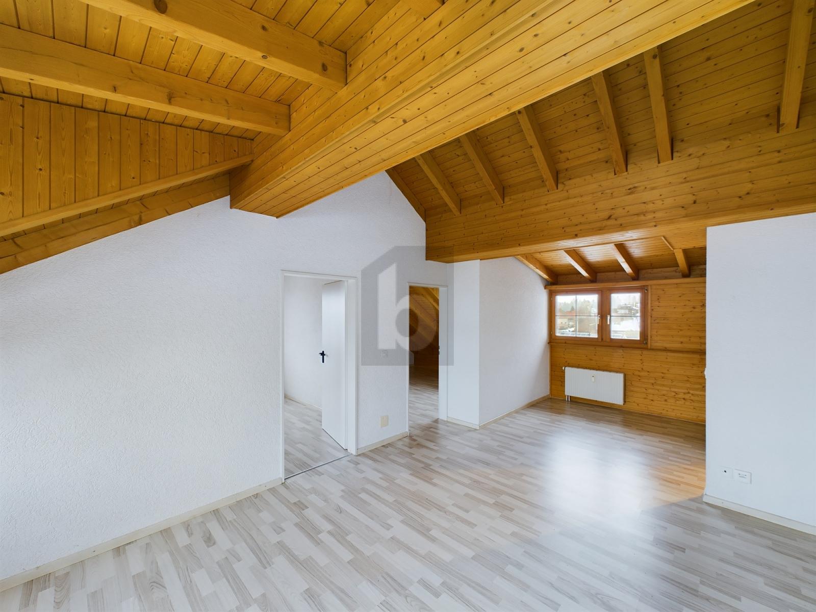 ATEMBERAUBENDER BLICK AUFS APPENZELLERLAND - 3