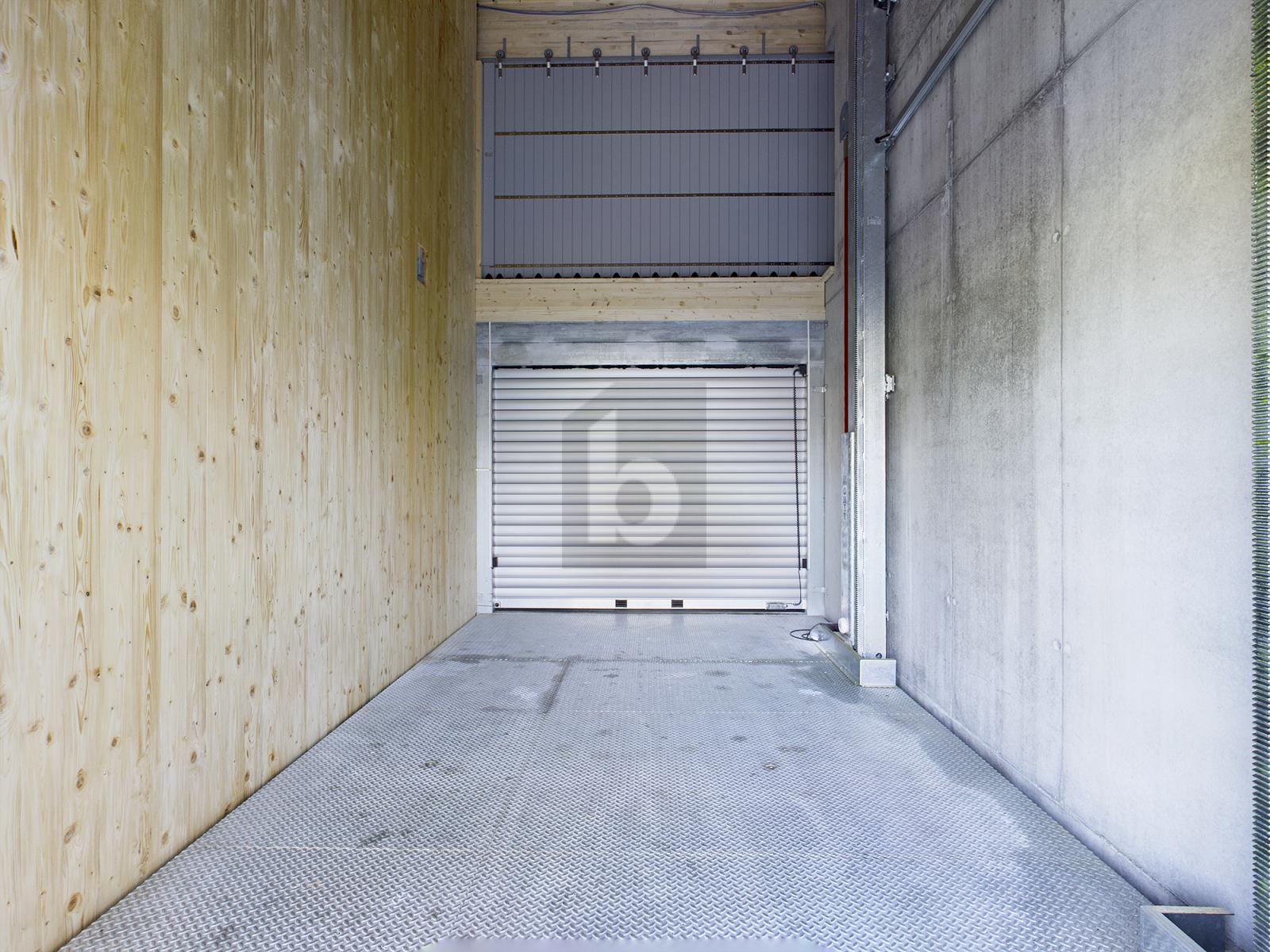 FÜR AUTOSAMMLER, MIT LIFT BIS 3 T BELASTUNG - 2