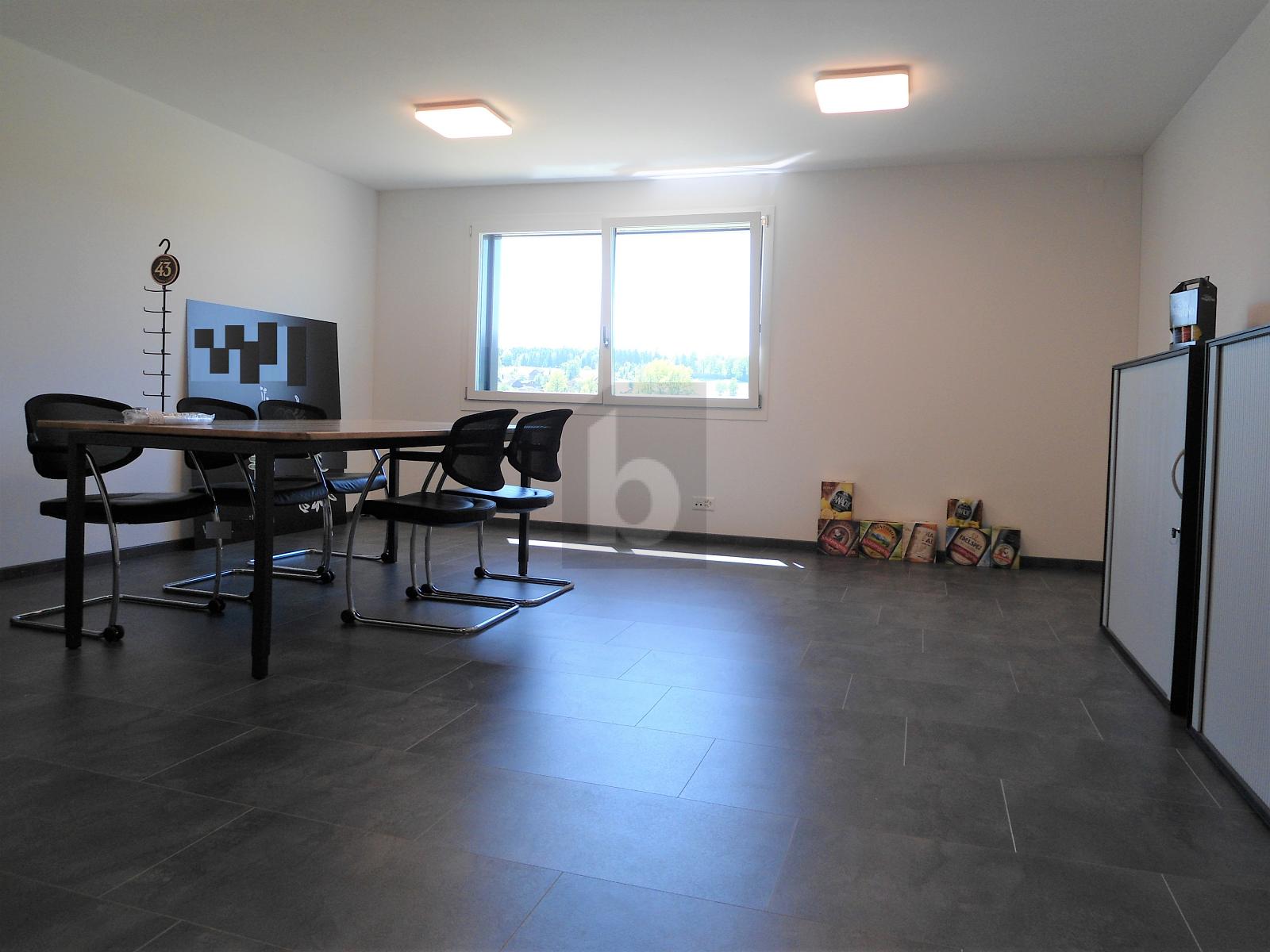 FÜR AUTOSAMMLER, MIT LIFT BIS 3 T BELASTUNG - 4