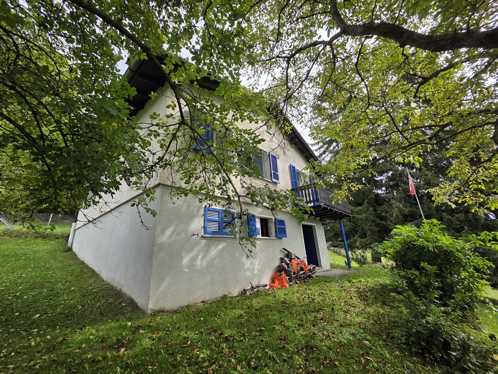 SOLEGGIATA IN POSIZIONE TRANQUILLA TRA LA NATURA - 0