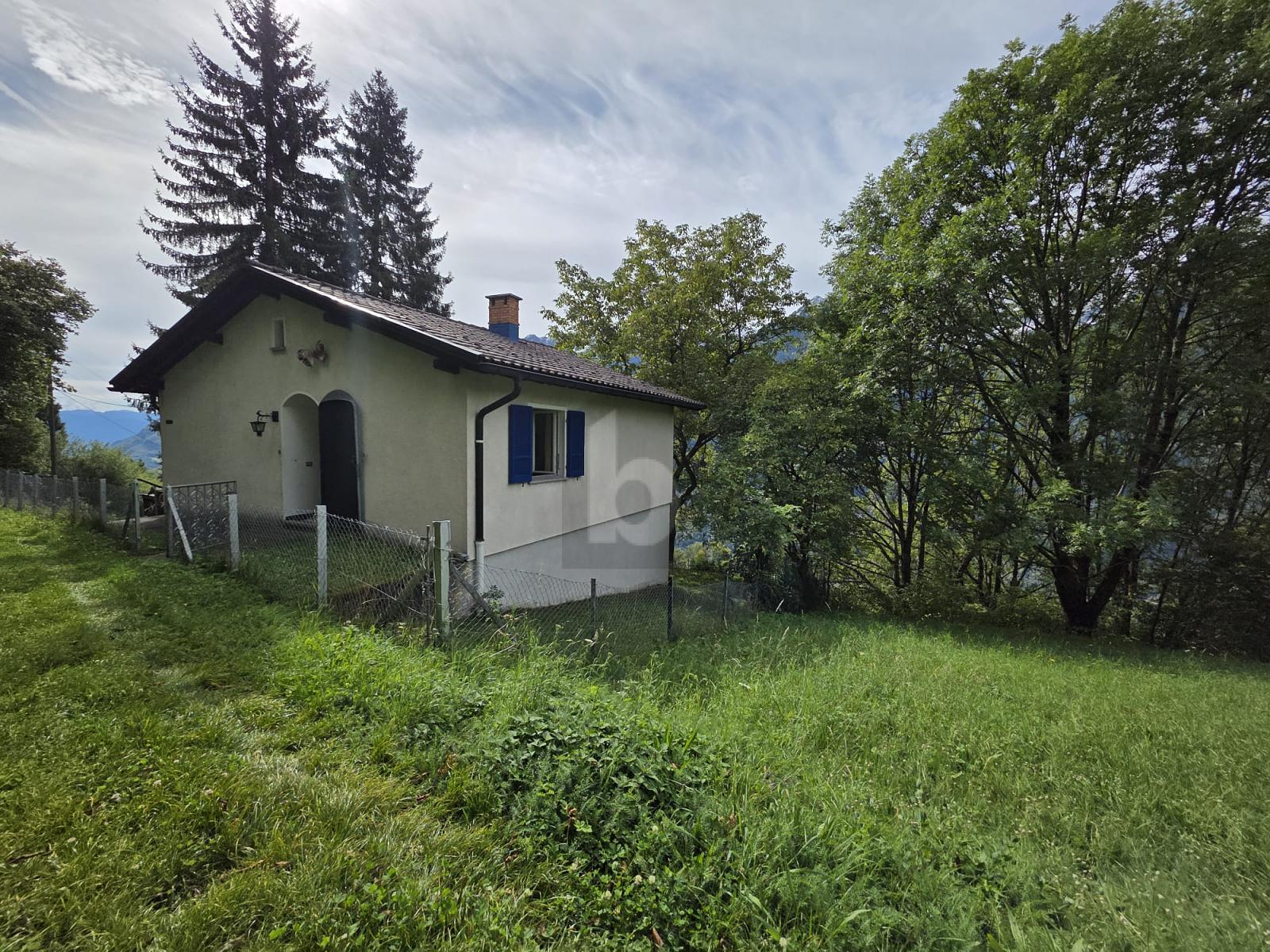 SOLEGGIATA IN POSIZIONE TRANQUILLA TRA LA NATURA - 1