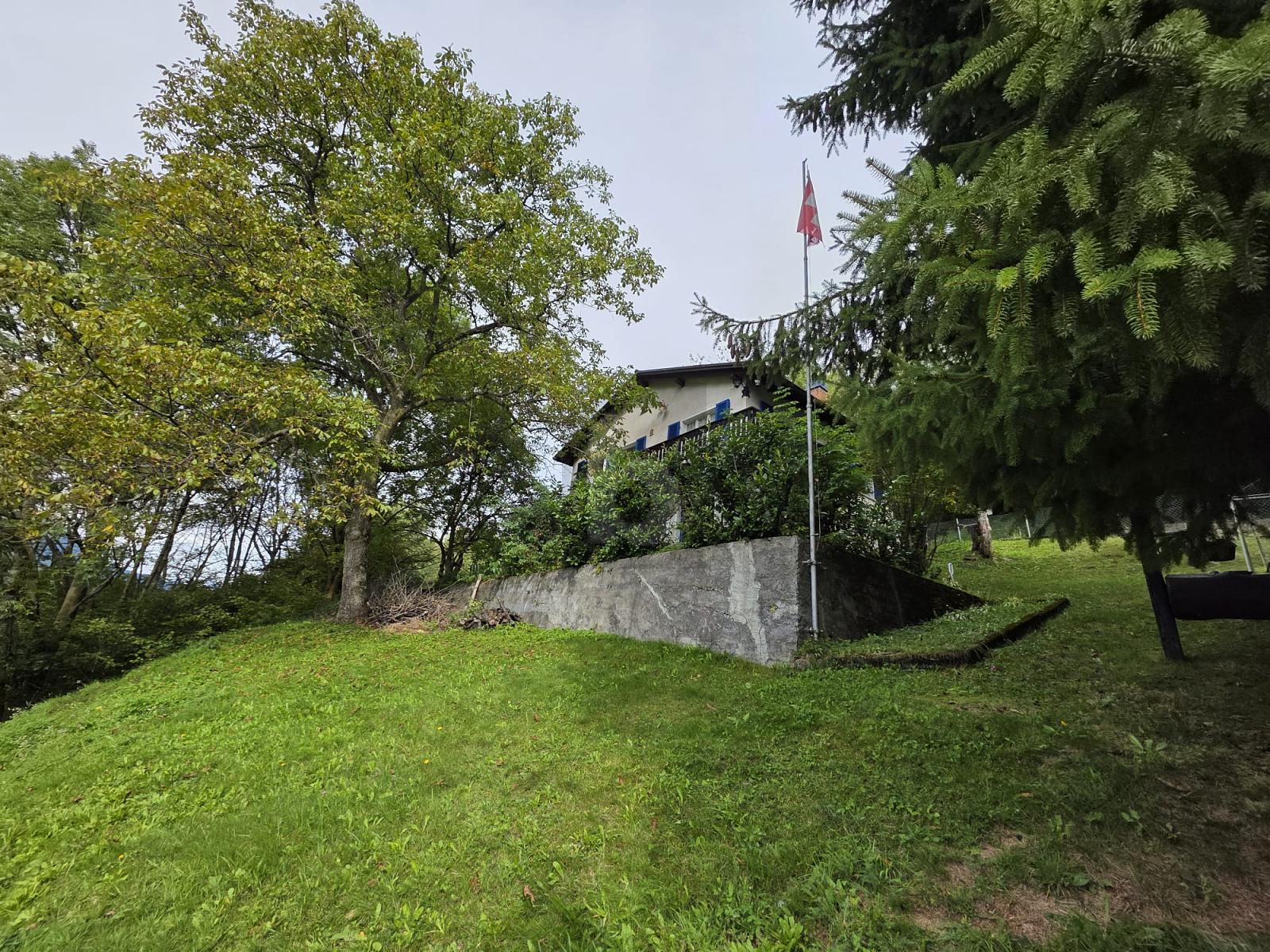 SOLEGGIATA IN POSIZIONE TRANQUILLA TRA LA NATURA - 2