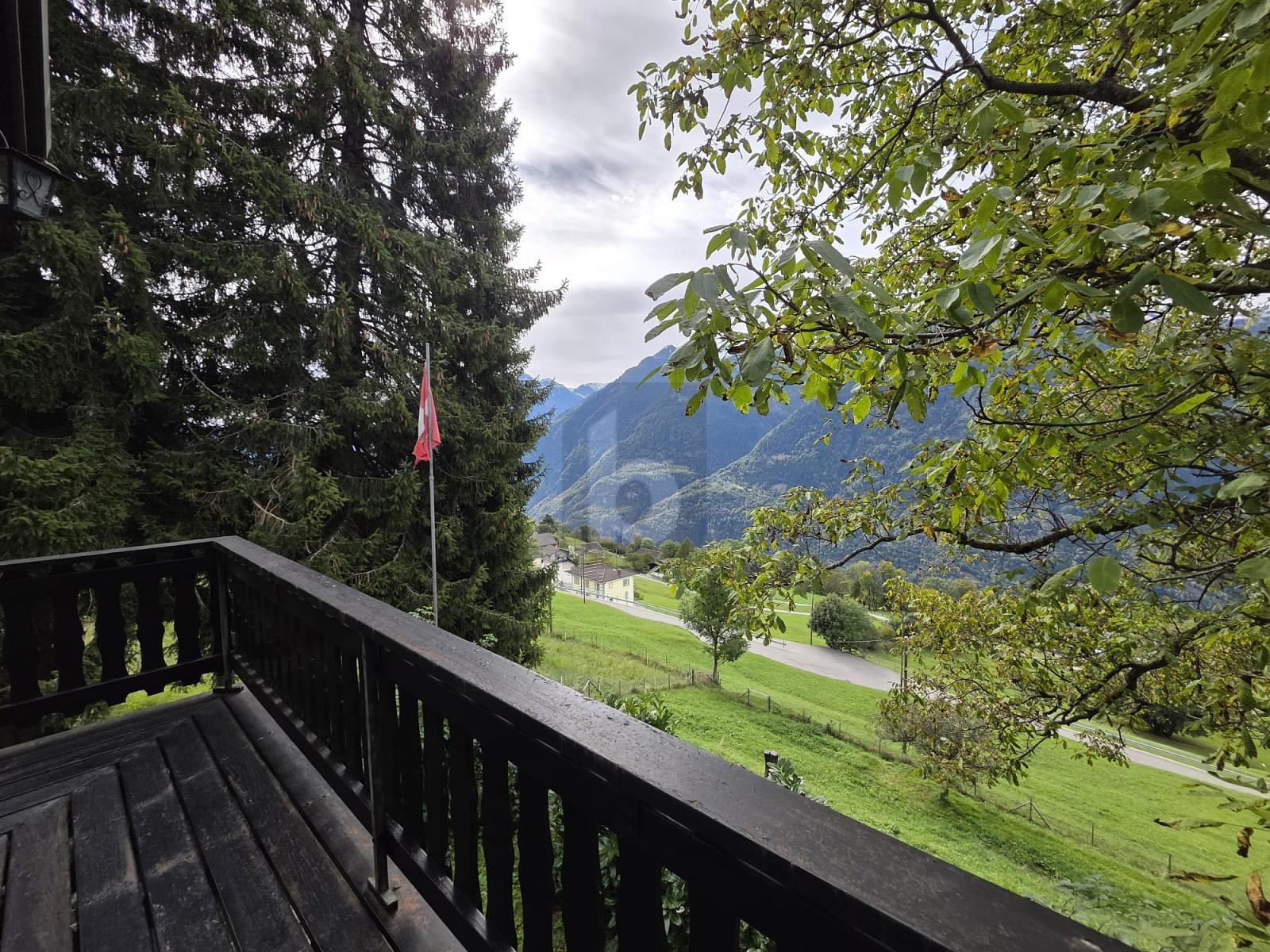 SOLEGGIATA IN POSIZIONE TRANQUILLA TRA LA NATURA - 3